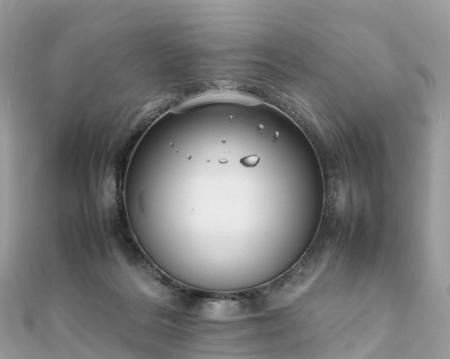 X0000111850220200907301117