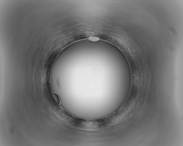 X0000111850221200907301117