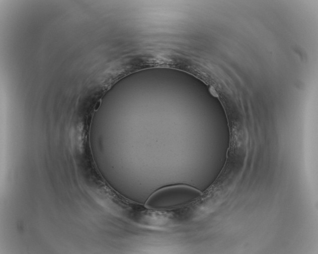 X0000111850223200907301117