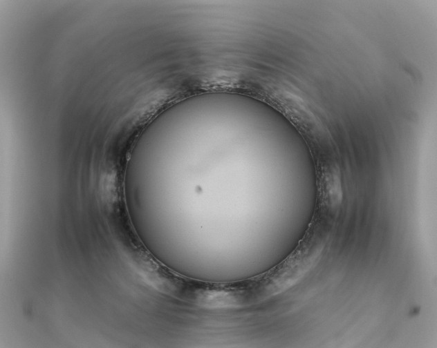 X0000111850224200907301117