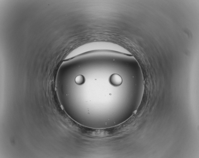 X0000111850225200907301117