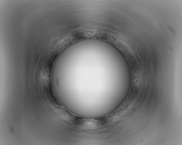 X0000111850226200907301117