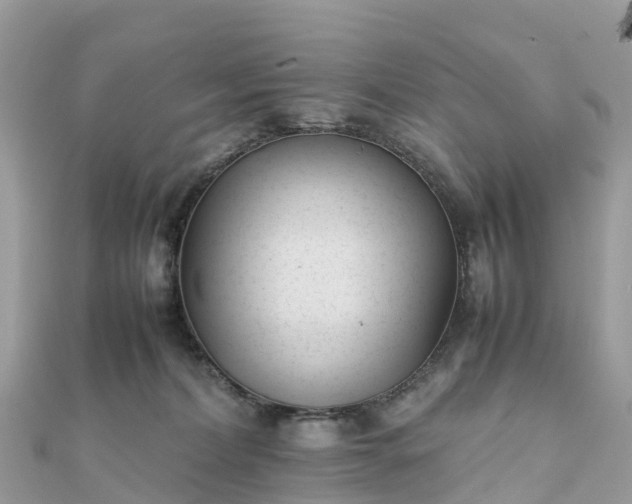 X0000111850228200907301117