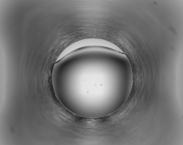 X0000111850229200907301117