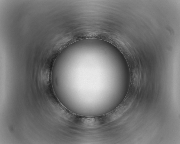 X0000111850230200907301117