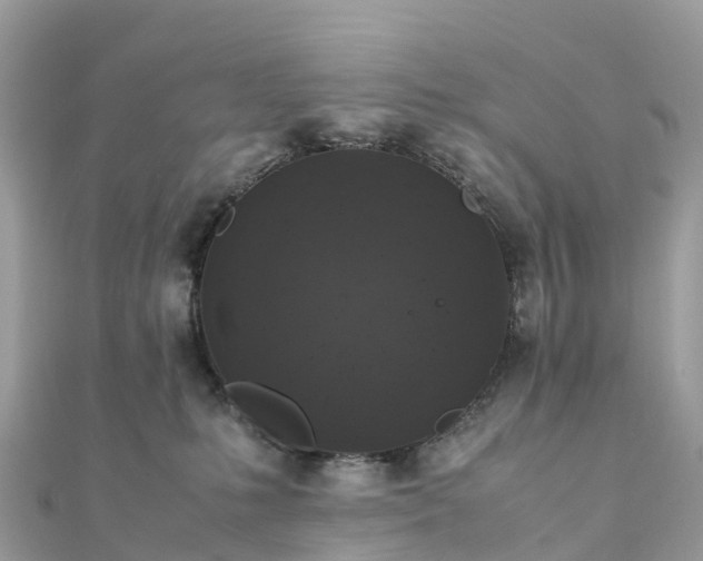 X0000111850231200907301117