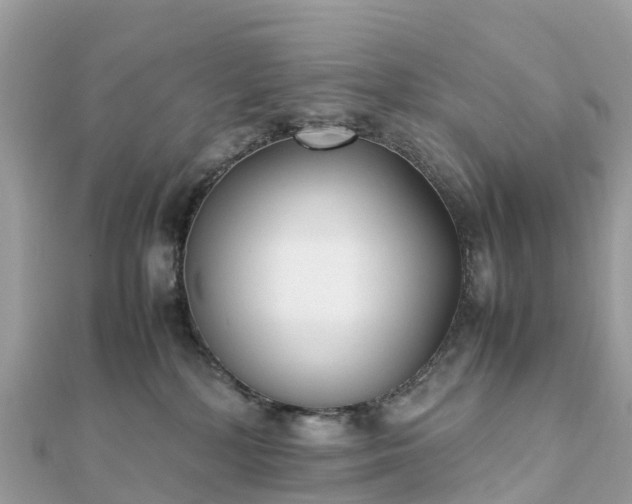 X0000111850232200907301117