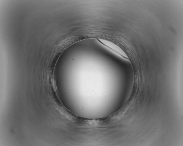 X0000111850233200907301117