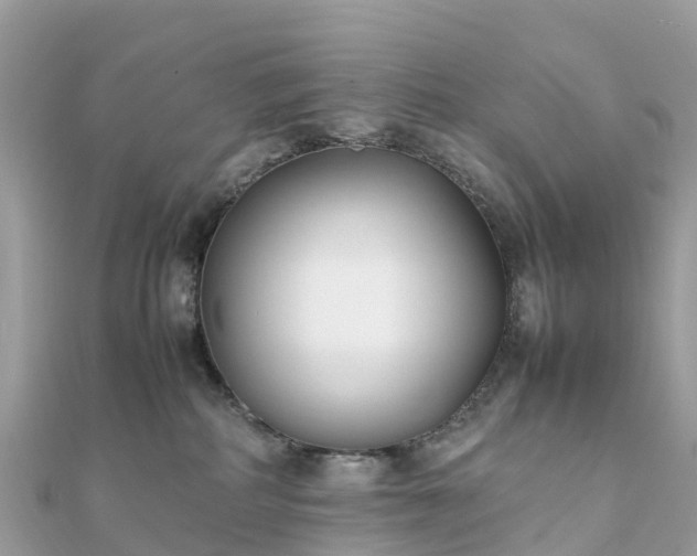 X0000111850234200907301117