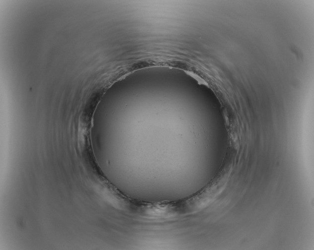 X0000111850235200907301117