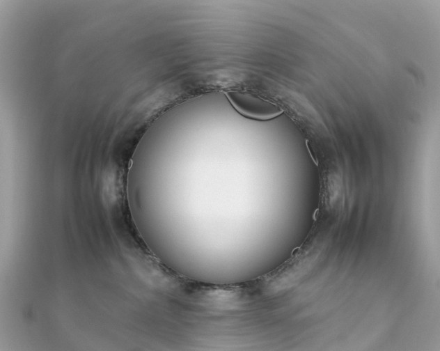 X0000111850236200907301117