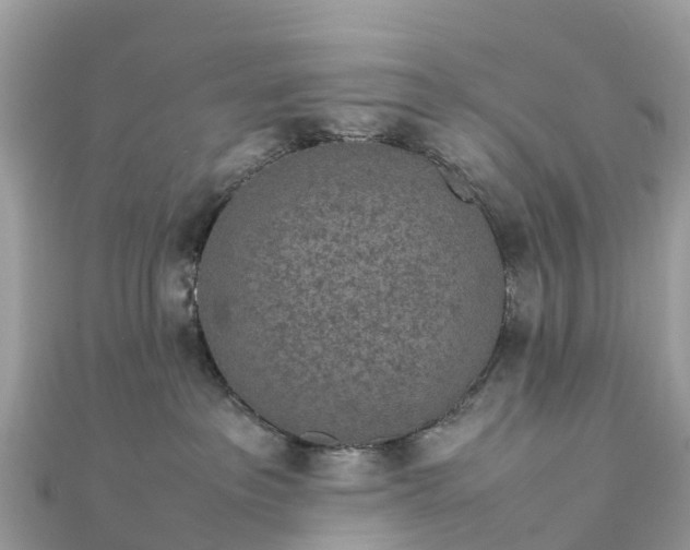 X0000111850237200907301117