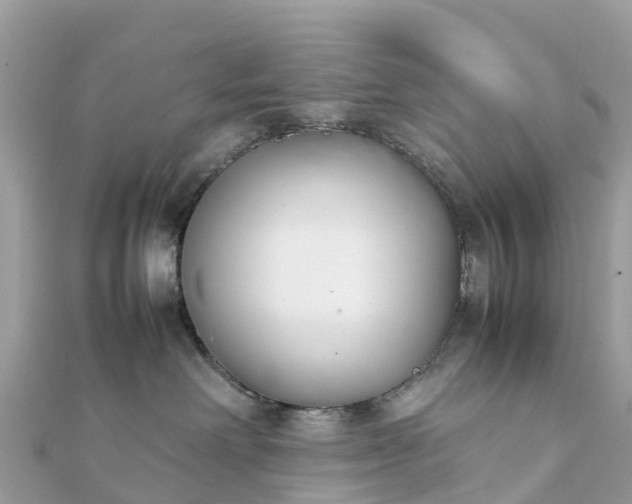 X0000111850238200907301117