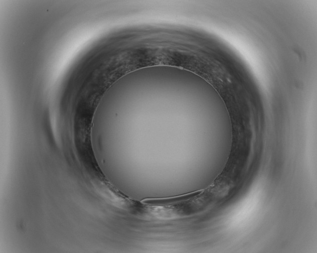 X0000111850239200907301117