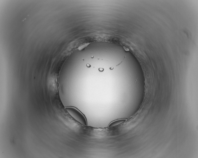 X0000111850240200907301117