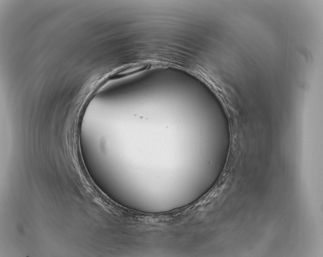 X0000111850241200907301116