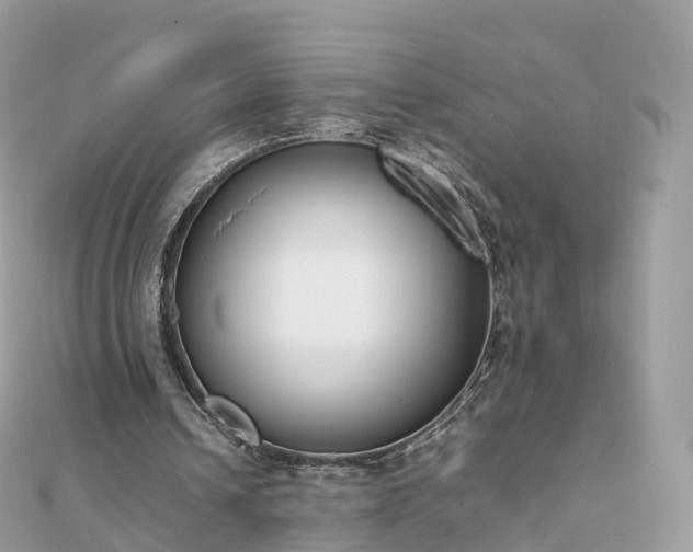 X0000111850242200907301116