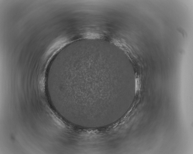 X0000111850243200907301116