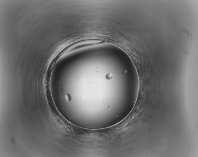 X0000111850244200907301116