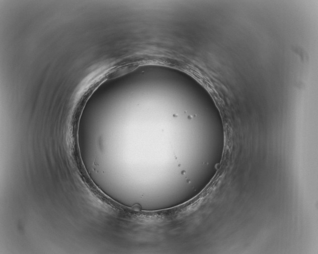 X0000111850245200907301116