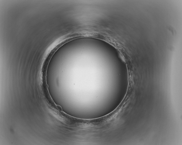 X0000111850246200907301116