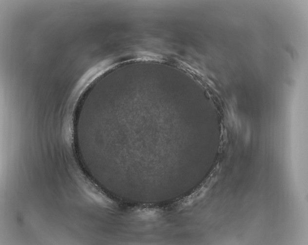 X0000111850247200907301116