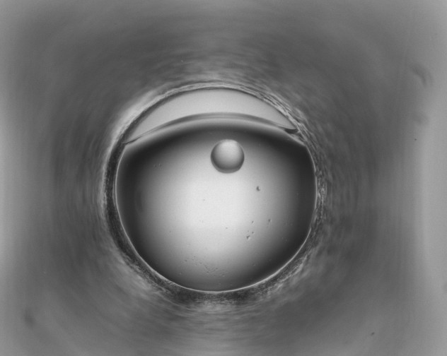 X0000111850248200907301116