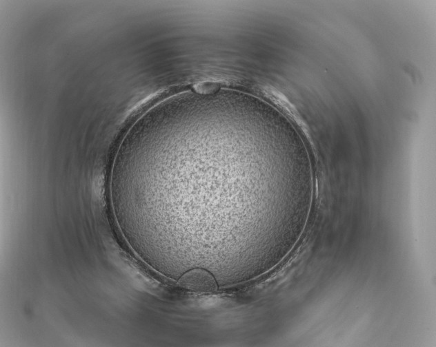 X0000111850249200907301116