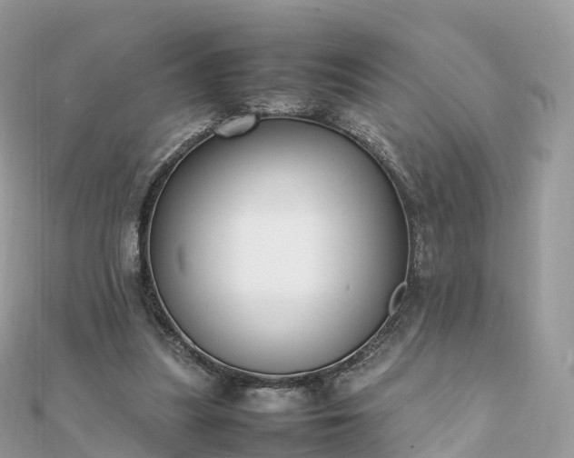 X0000111850251200907301116