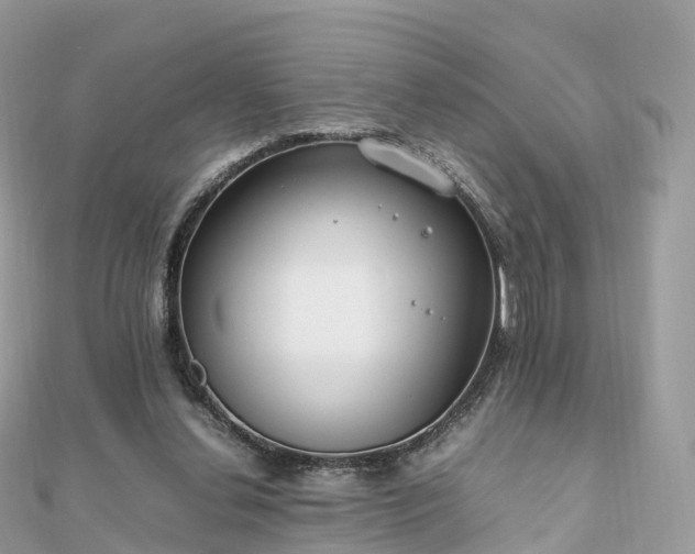 X0000111850252200907301116