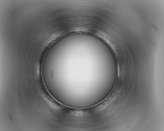 X0000111850253200907301116