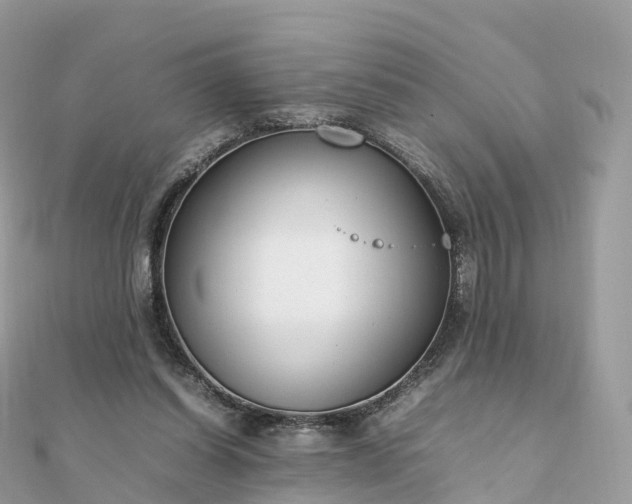 X0000111850254200907301116