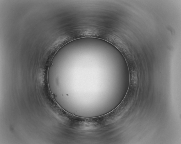 X0000111850255200907301116