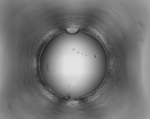 X0000111850257200907301116