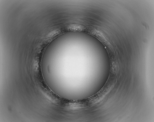 X0000111850259200907301116