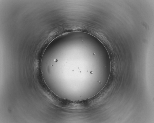 X0000111850260200907301116