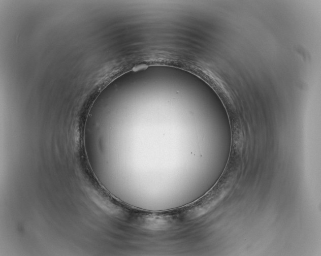 X0000111850261200907301116