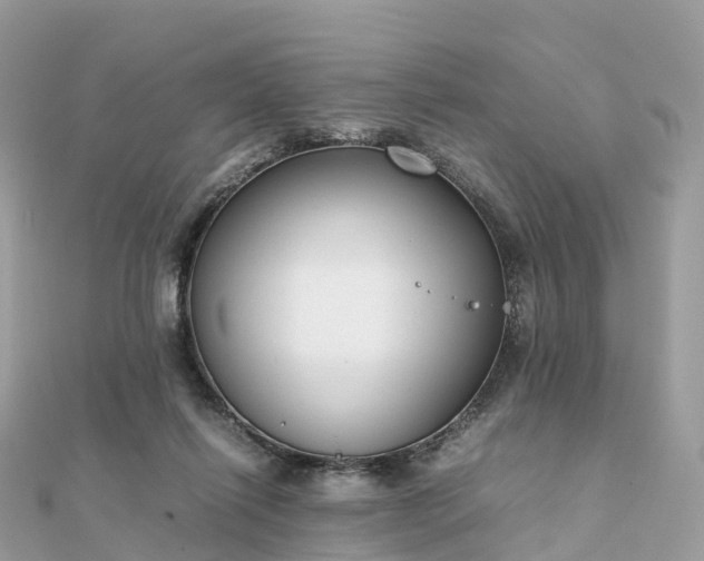 X0000111850262200907301116