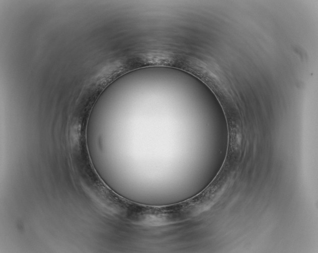 X0000111850263200907301116