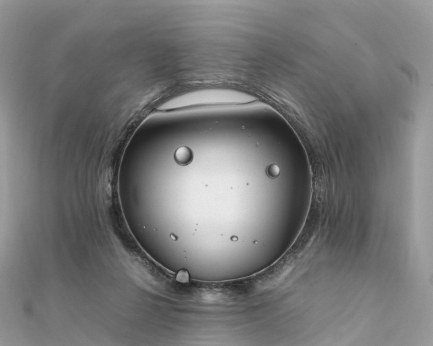 X0000111850264200907301117