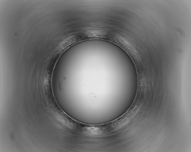 X0000111850265200907301117