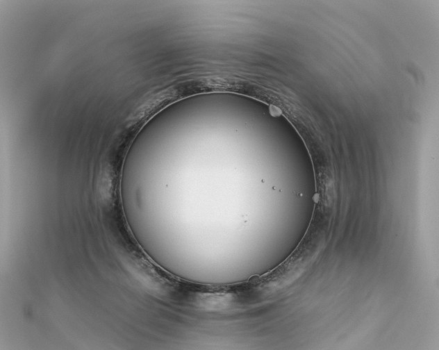 X0000111850266200907301117