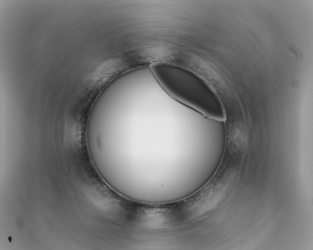 X0000111850268200907301117