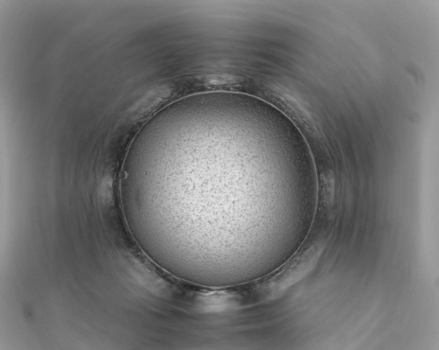 X0000111850269200907301117