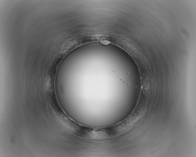 X0000111850270200907301117