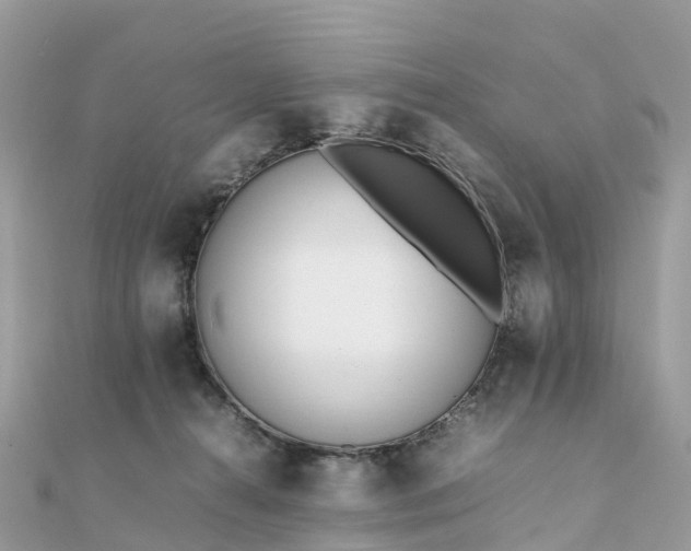 X0000111850272200907301117