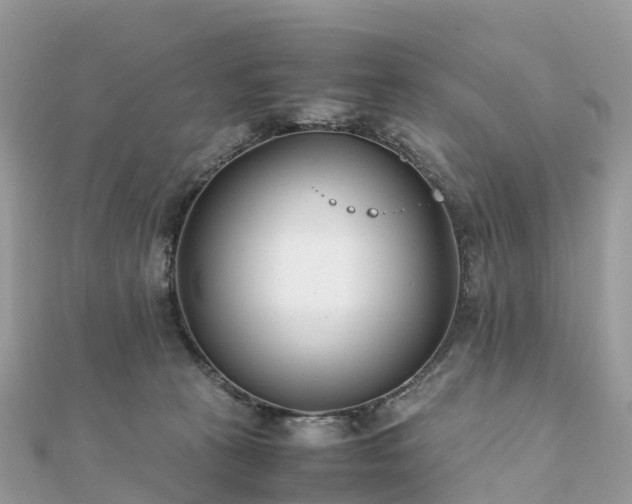 X0000111850273200907301117