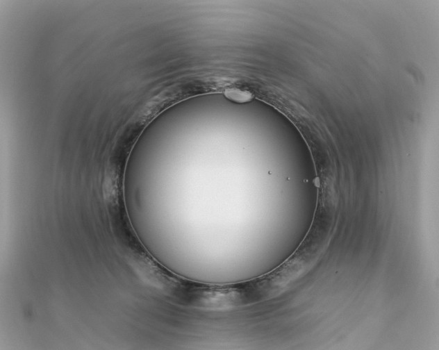 X0000111850274200907301117