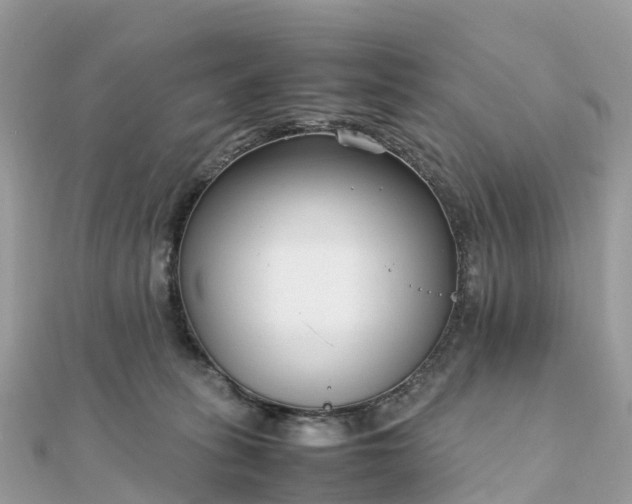 X0000111850275200907301117