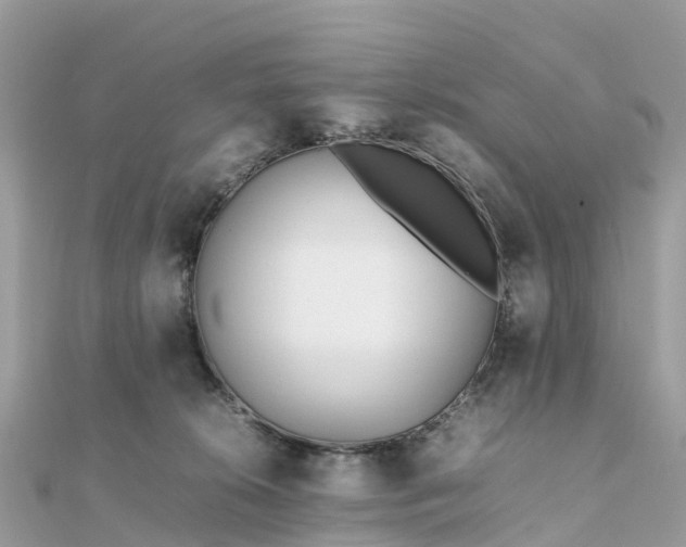 X0000111850276200907301117